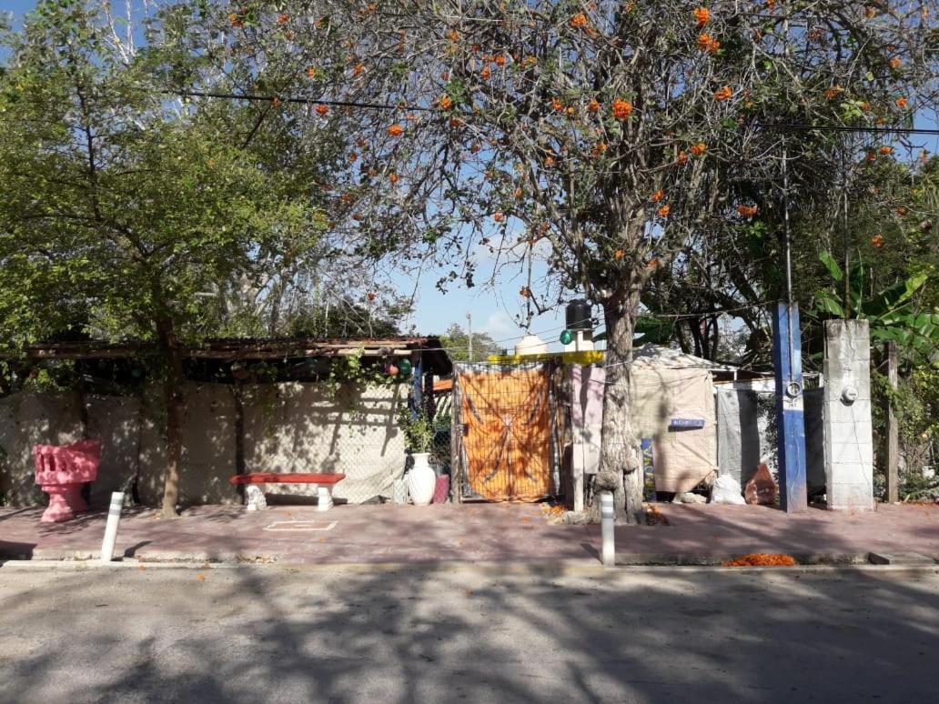 Hostal Y Camping Las G Bacalar Exterior photo